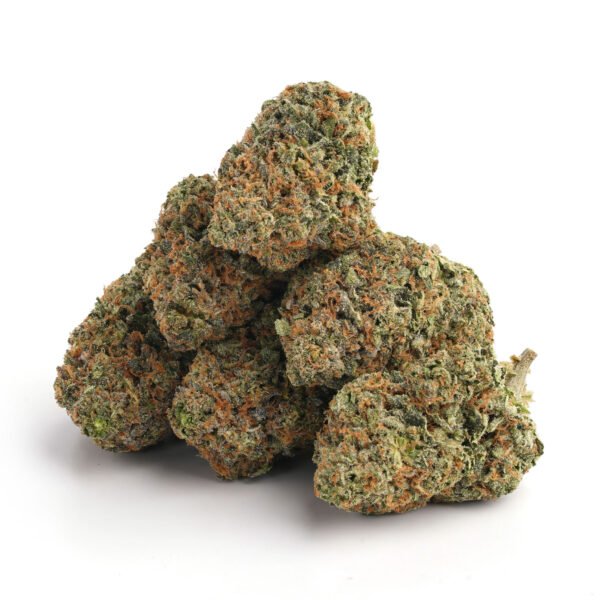Alternative view of Hawaiian Skunk