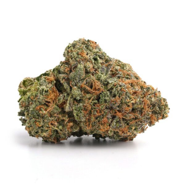 Hawaiian Skunk