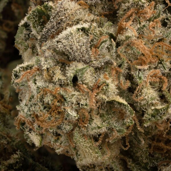 Slurricane